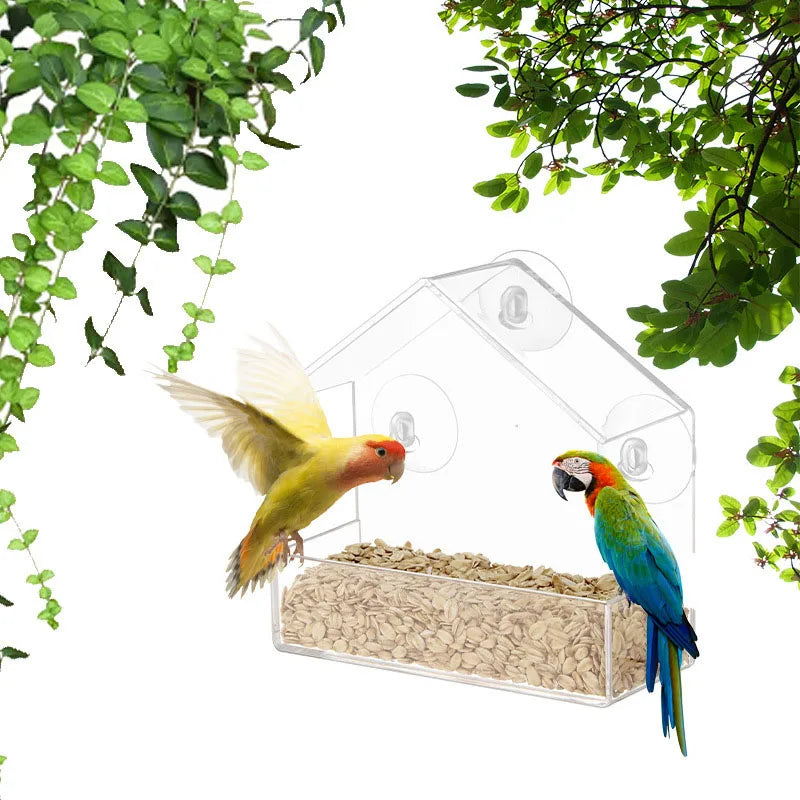 Bird Feeder Transparent House  With Suction Cup