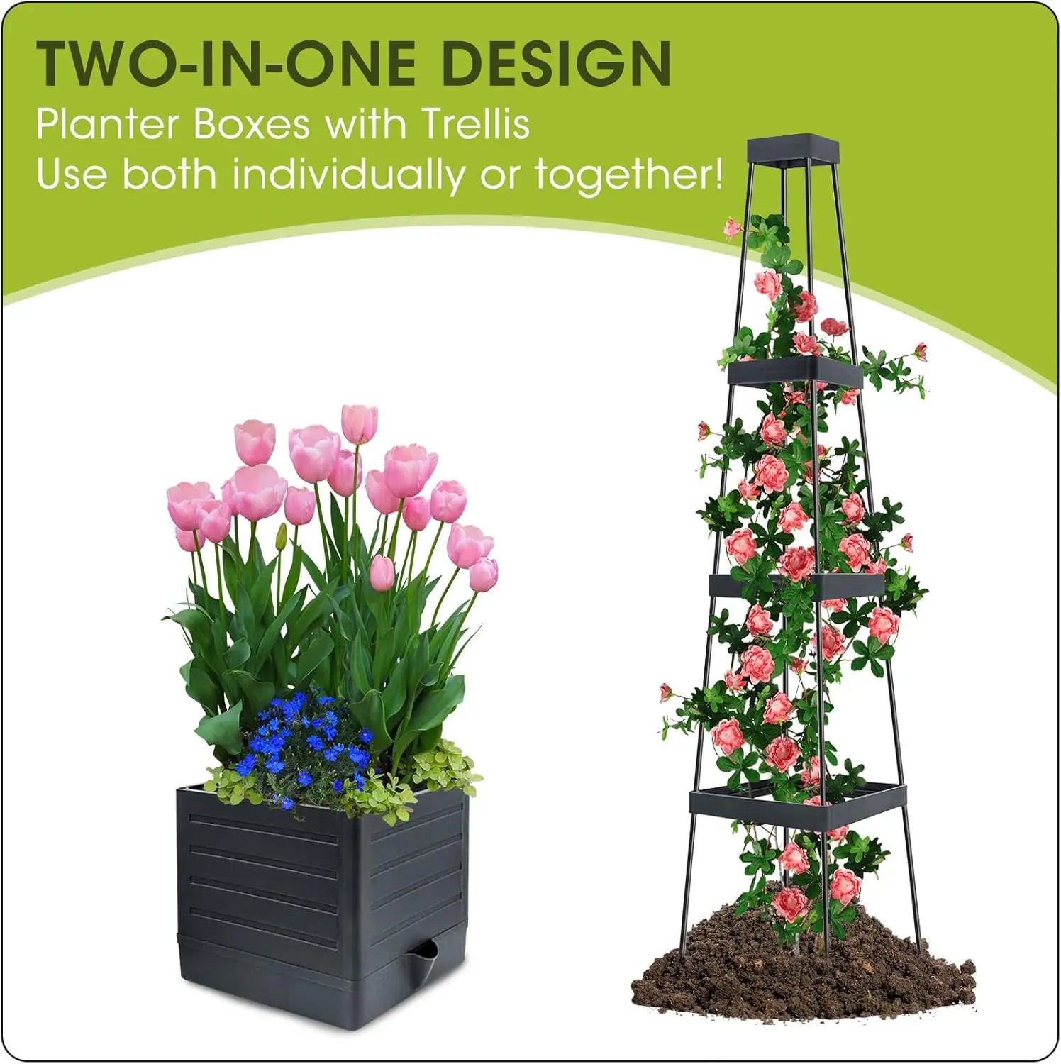 Raised Garden Bed with Trellis,