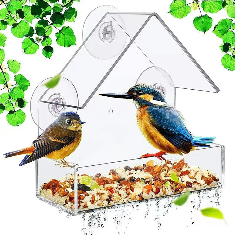 Bird Feeder Transparent House  With Suction Cup