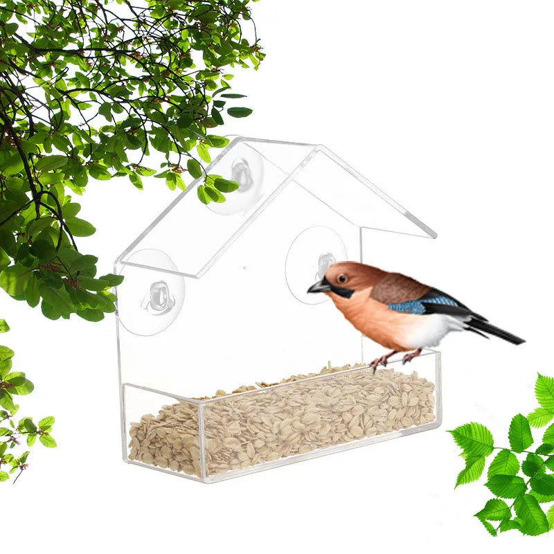 Bird Feeder Transparent House  With Suction Cup