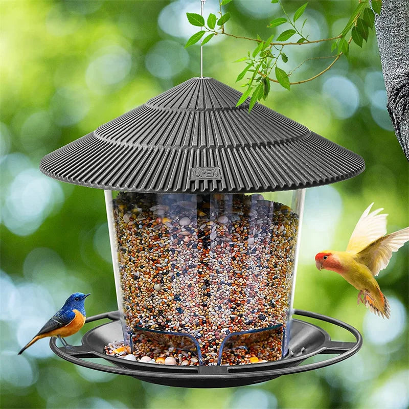Automatic Bird Feeder