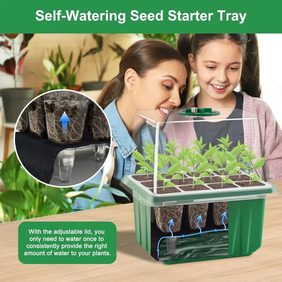 Seed Starter Tray with Timed Grow Light