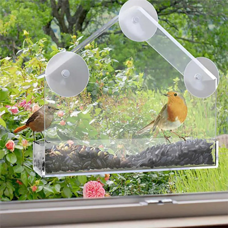 Bird Feeder Transparent House  With Suction Cup