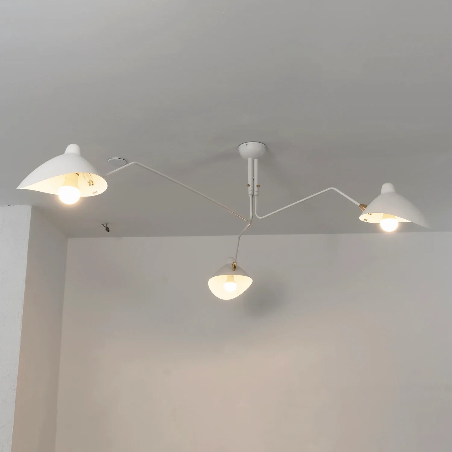 Spider-Arm Rotation Duckbill Ceiling Light