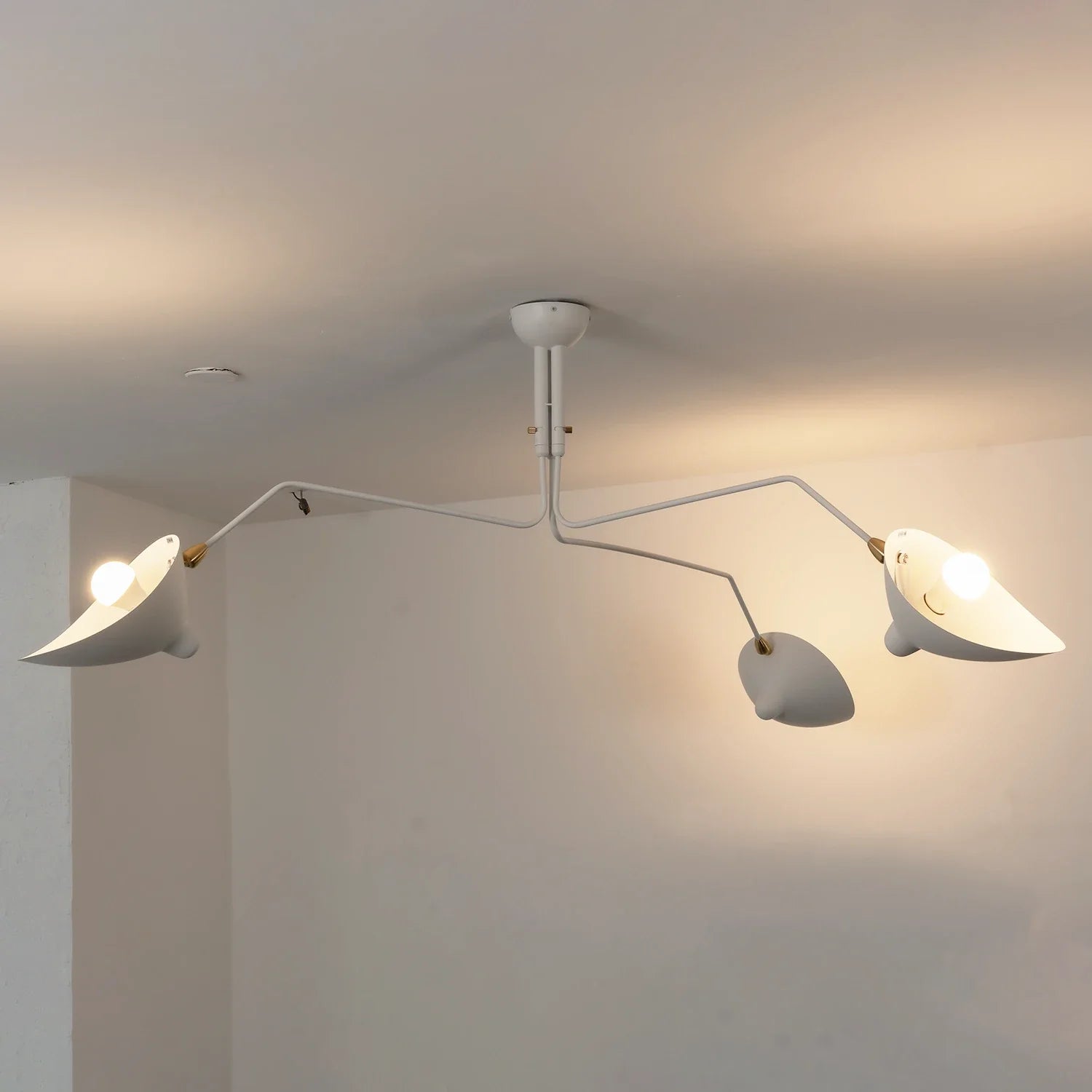 Spider-Arm Rotation Duckbill Ceiling Light