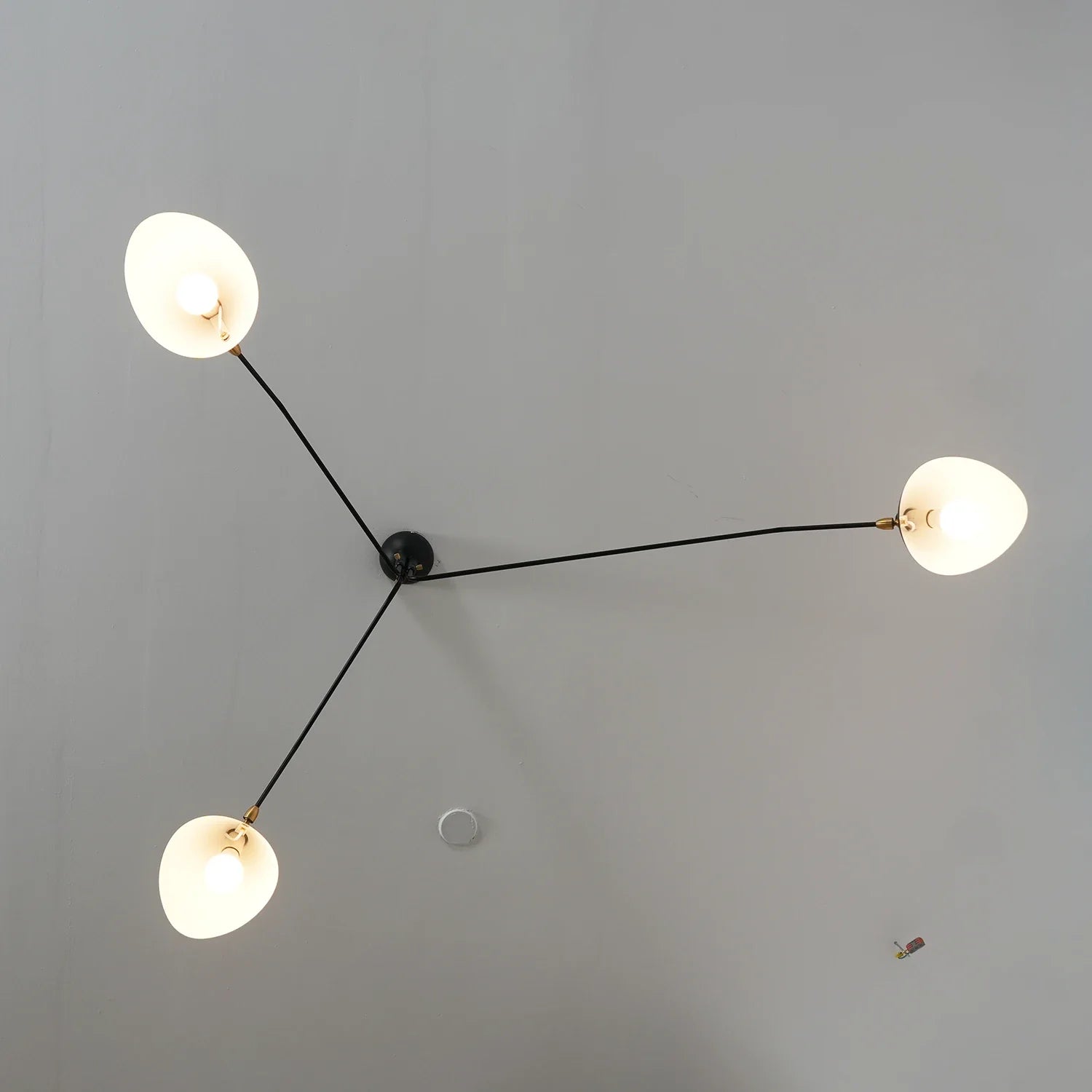 Spider-Arm Rotation Duckbill Ceiling Light