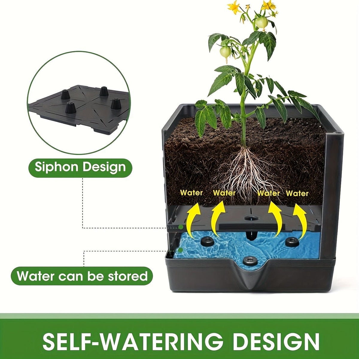 Self-Watering Tomato Planter with Trellis